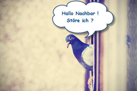 fotolia_86132215_xs-kopie__450x.jpg