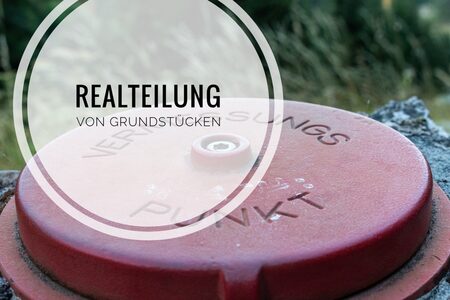 realteilung__450x.jpg