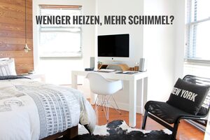Energiekrise: Weniger heizen, mehr Schimmel? So können Sie als Vermieter vorbeugen!
