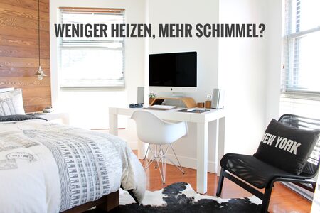 schimmel__450x.jpg