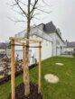 Maisonette mit Garten & Bürobereich – Wohnen trifft Arbeiten im Grünen - Gartenliebhaber aufgepasst!
